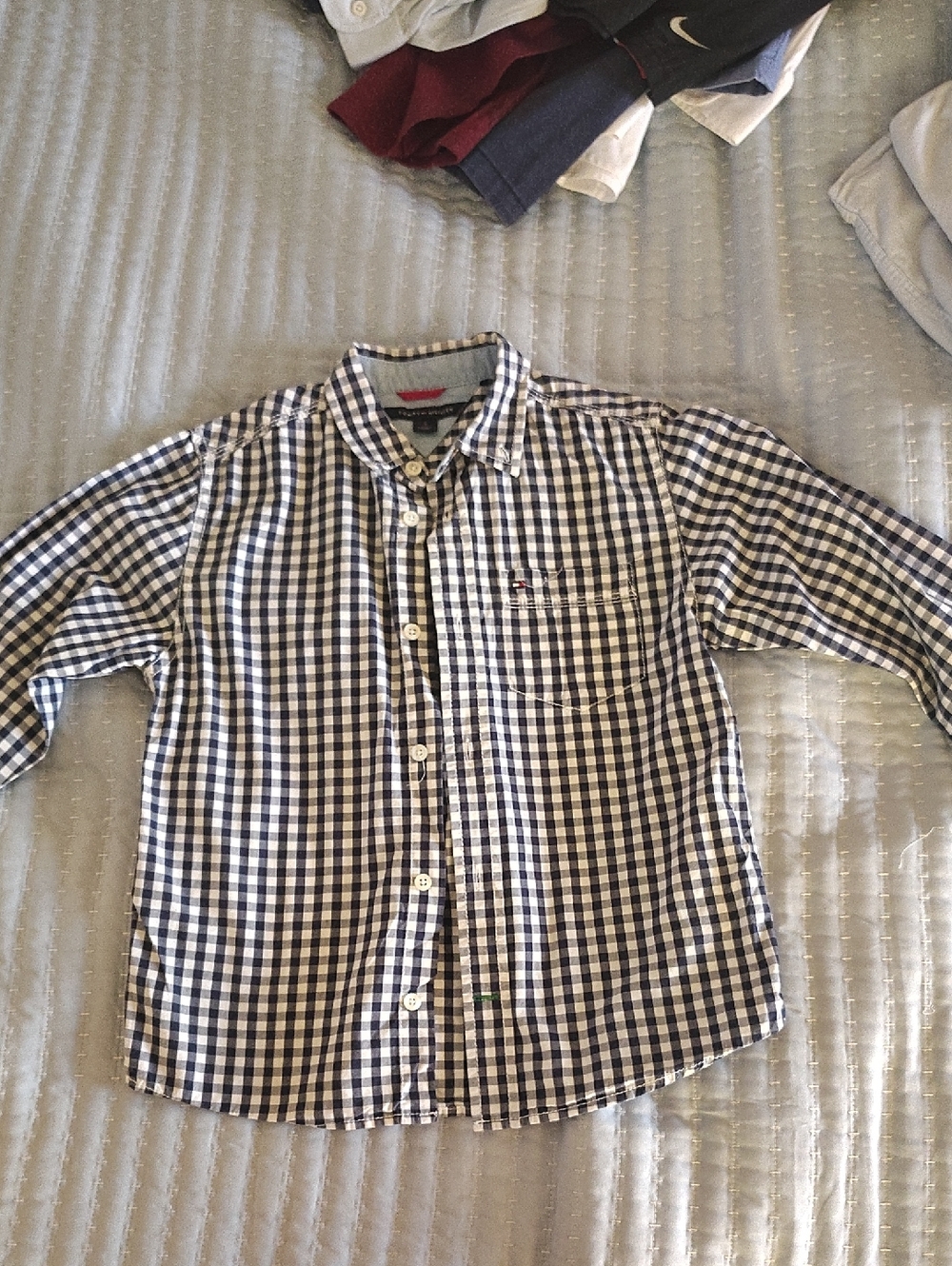 Tommy Hilfiger Navy and White Gingham Button-Down Shirt